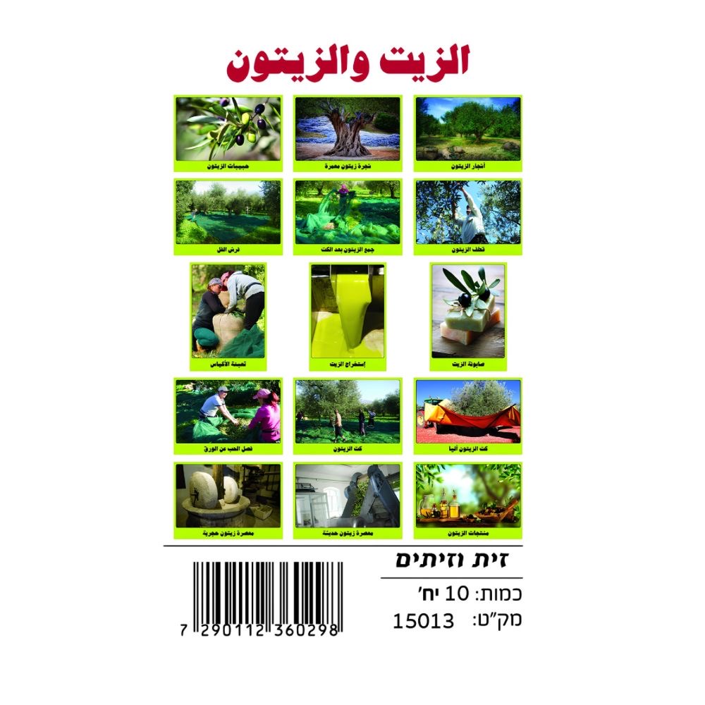 7422b291-ae27-4a48-af36-70f00c57952a وسائل إيضاح - الزيت والزيتون - الصورة 1