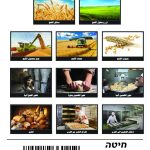 وسائل إيضاح - القمح