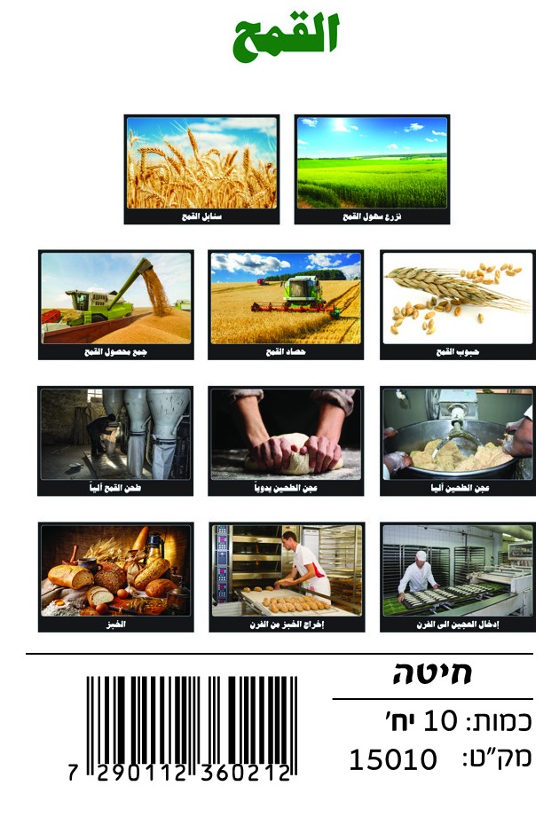 WhatsApp Image 2025-10-22 at 16.36.56 (3) وسائل إيضاح - القمح - الصورة 1