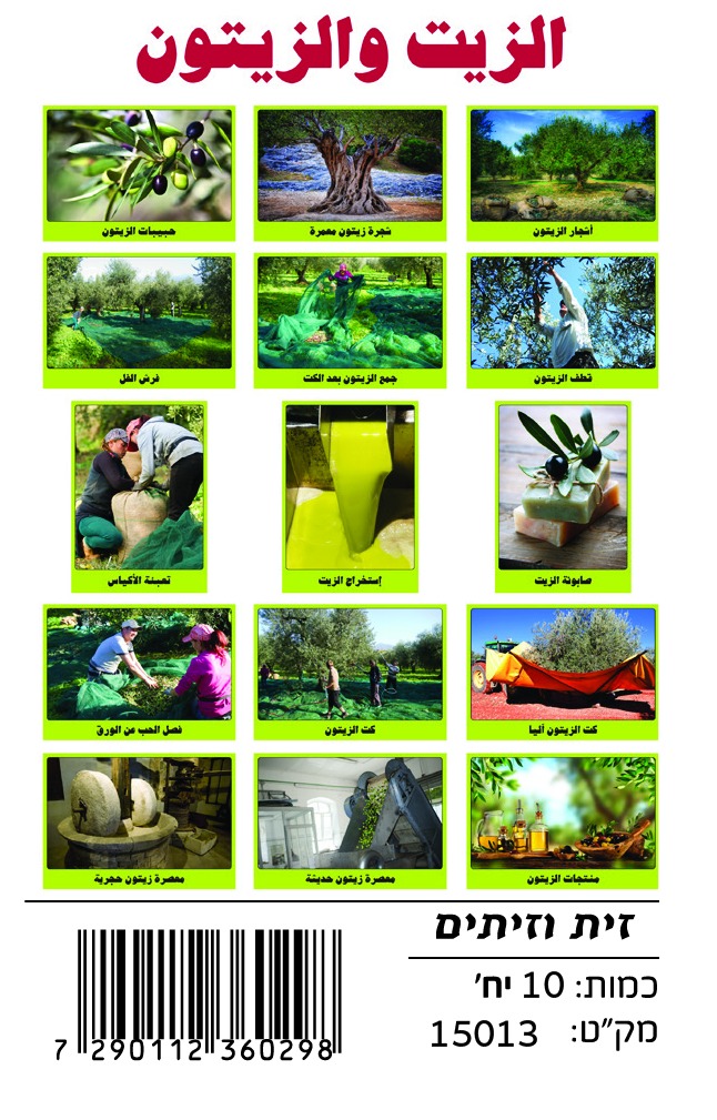 WhatsApp Image 2025-10-22 at 16.36.56 وسائل إيضاح - الزيت والزيتون - الصورة 1