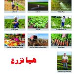 وسائل إيضاح - هيّا نزرع