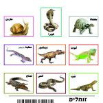 وسائل إيضاح - الزواحف