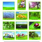 وسائل إيضاح - الربيع