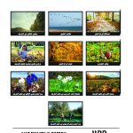 وسائل إيضاح - الخريف