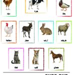 وسائل إيضاح - حيوانات المزرعة