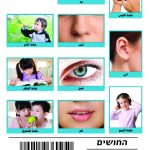 وسائل إيضاح  - الحواس