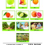 وسائل إيضاح - الحمضيات