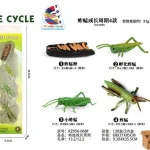 دورة حياة الجراد/الجندب