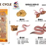 دورة حياة دودة الأرض