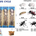 دورة حياة النملة