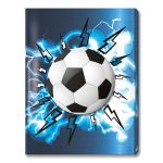 دوسية 20 كيس كرة قدم