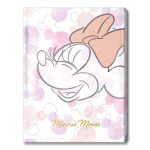 دوسية 20 كيس ميني ماوس