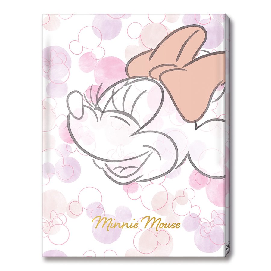 תיק פייל 20 מיני دوسية 20 كيس ميني ماوس - الصورة 1