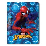 دوسية 20 كيس سبايدرمان