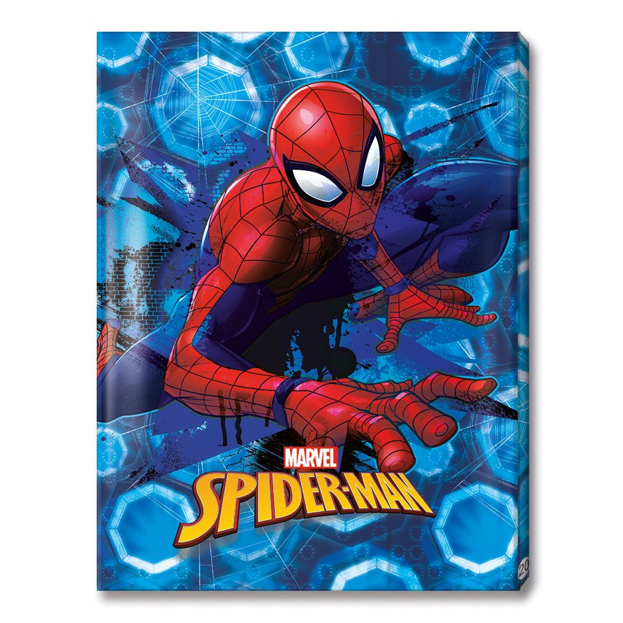 תיק פייל 20 ספיידר دوسية 20 كيس سبايدرمان - الصورة 1