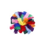 ريش ملون صغير الحجم