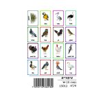 وسائل إيضاح - الطيور