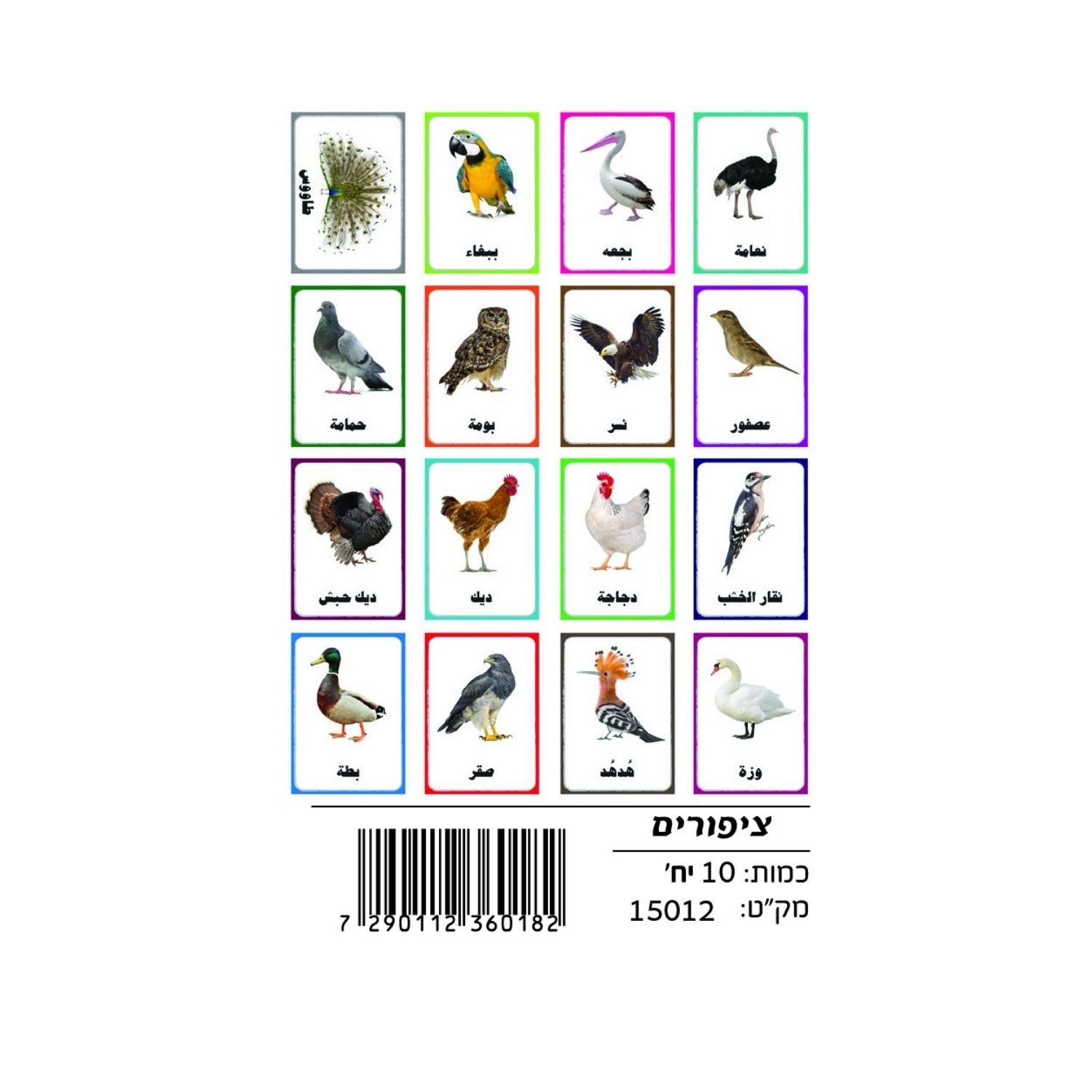 45b1102e-fb7e-4d91-b5b5-4e058860b88a وسائل إيضاح - الطيور - الصورة 1