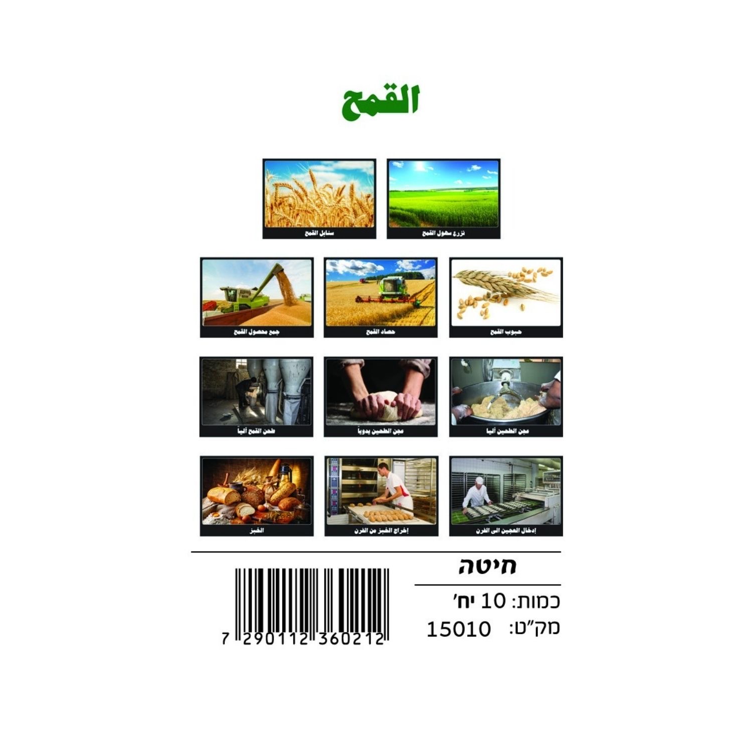 871f7cd7-3862-4f07-bcac-f5a28333b174 وسائل إيضاح - القمح - الصورة 1