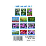 وسائل إيضاح - الخريف