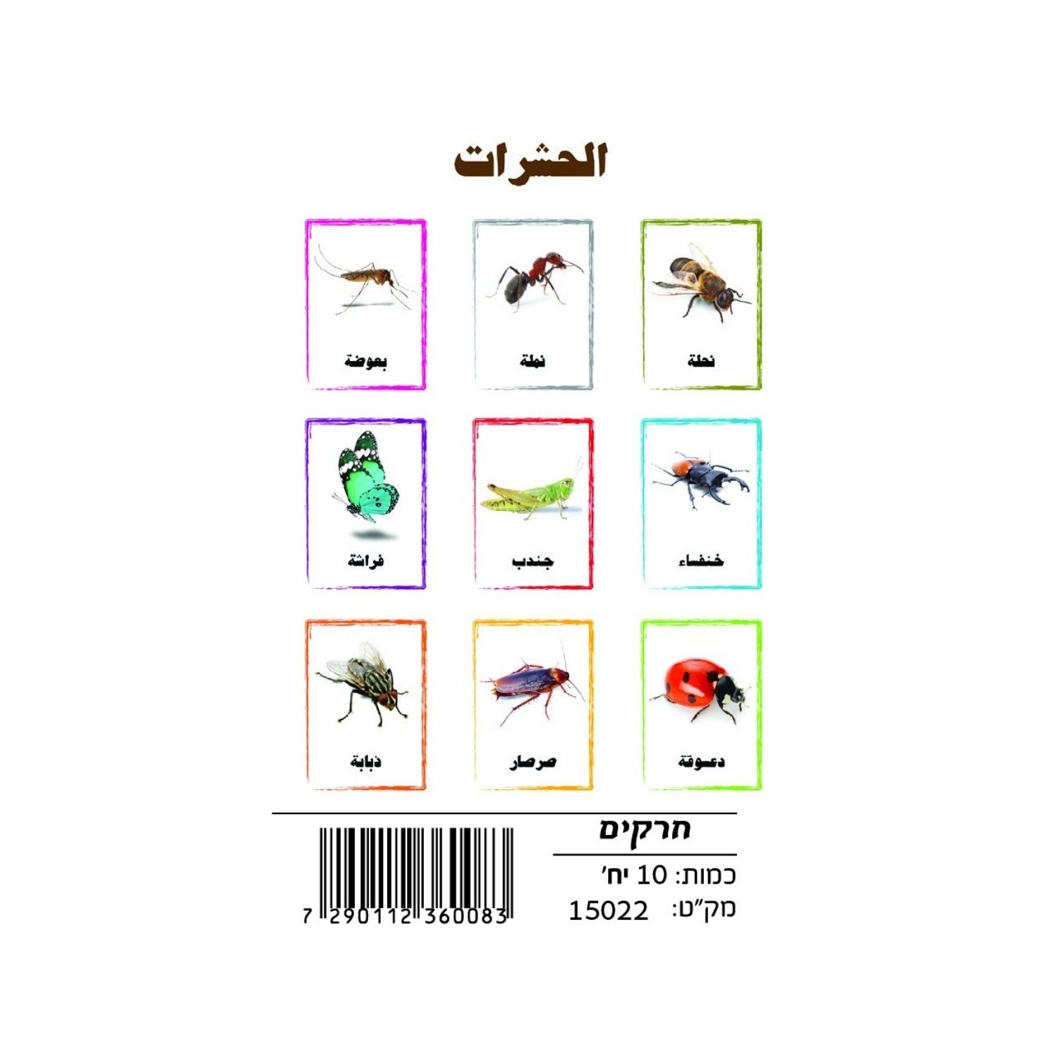 c63e14d4-4a02-4258-b654-c80310ff5781 وسائل إيضاح - الحشرات - الصورة 1